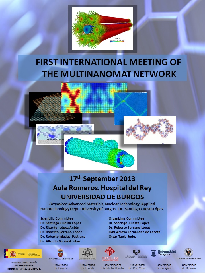 Multinanomat workshop. FIRST INTERNATIONAL MEETING OF THE MULTINANOMAT NETWORK.